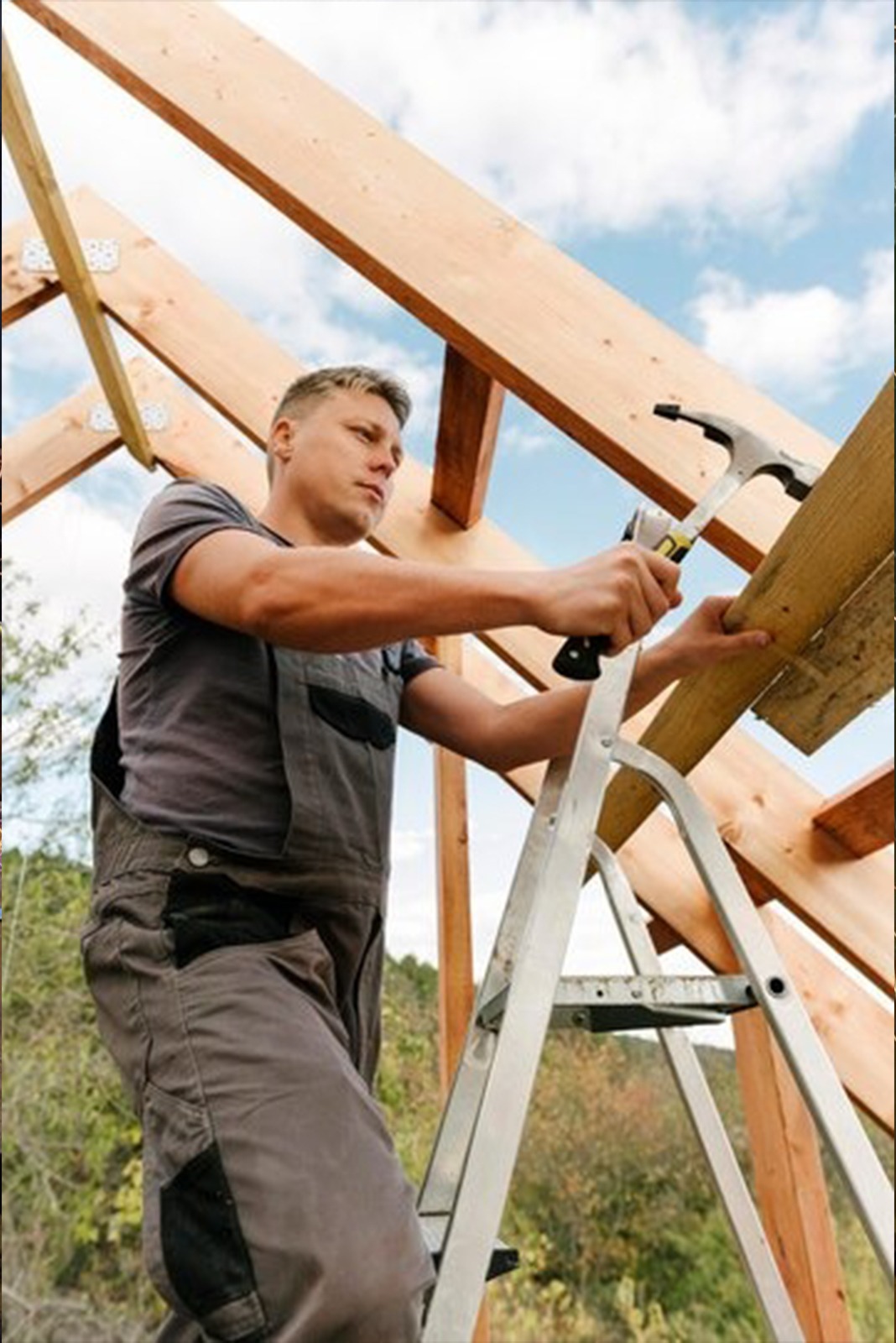 carpenter-training