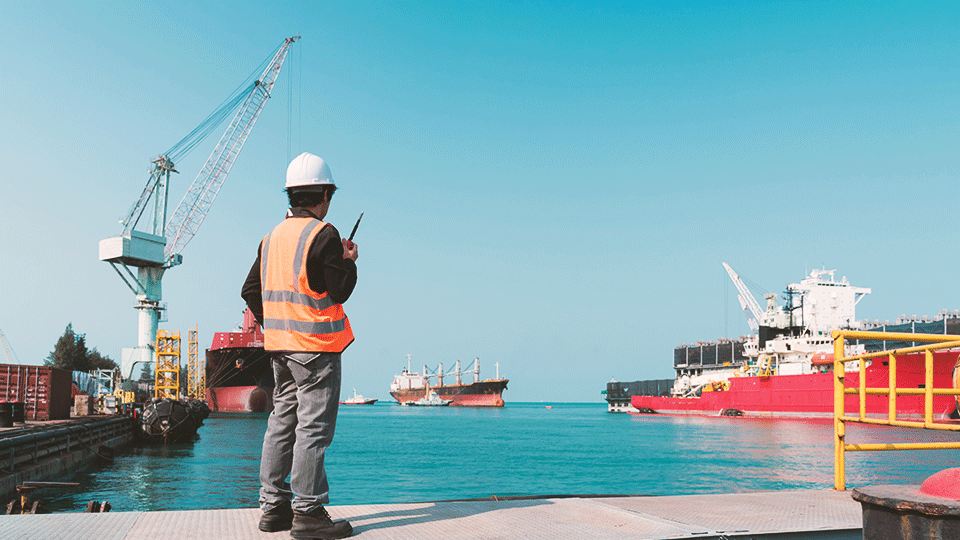 Hire Now manpower for Your Marine Projects